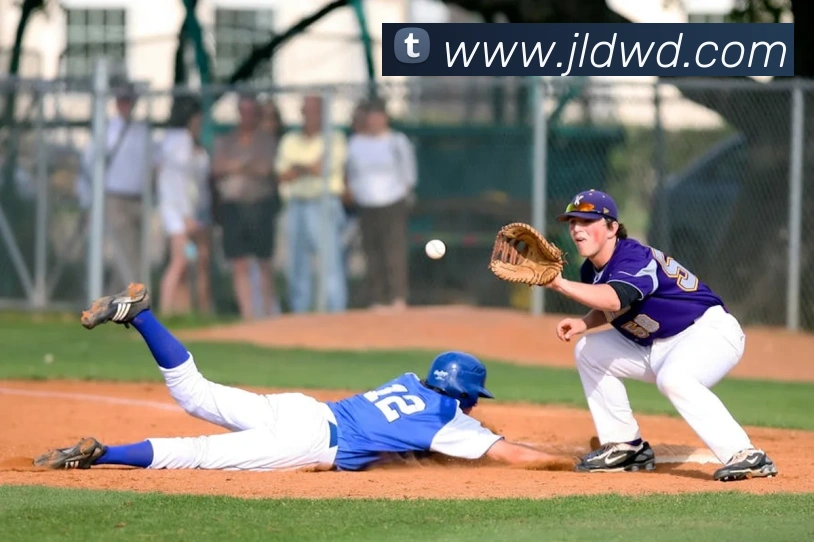 App Interface Preview