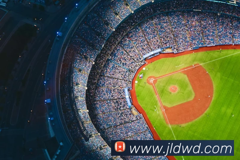 问鼎28APP 封面图